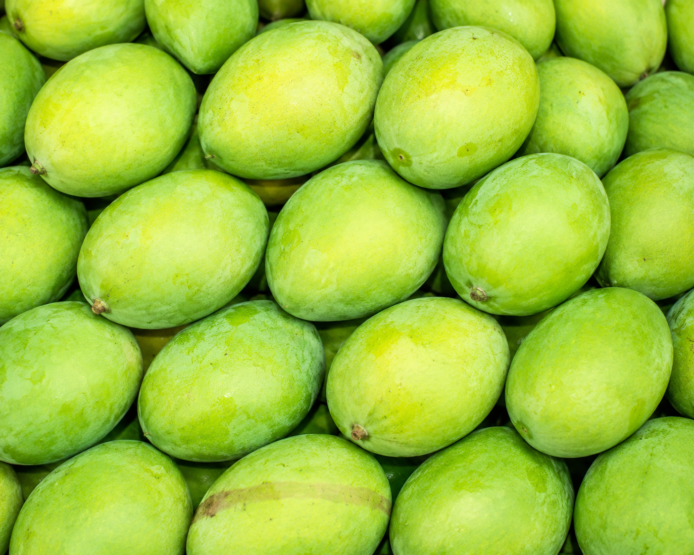 Langra Mango