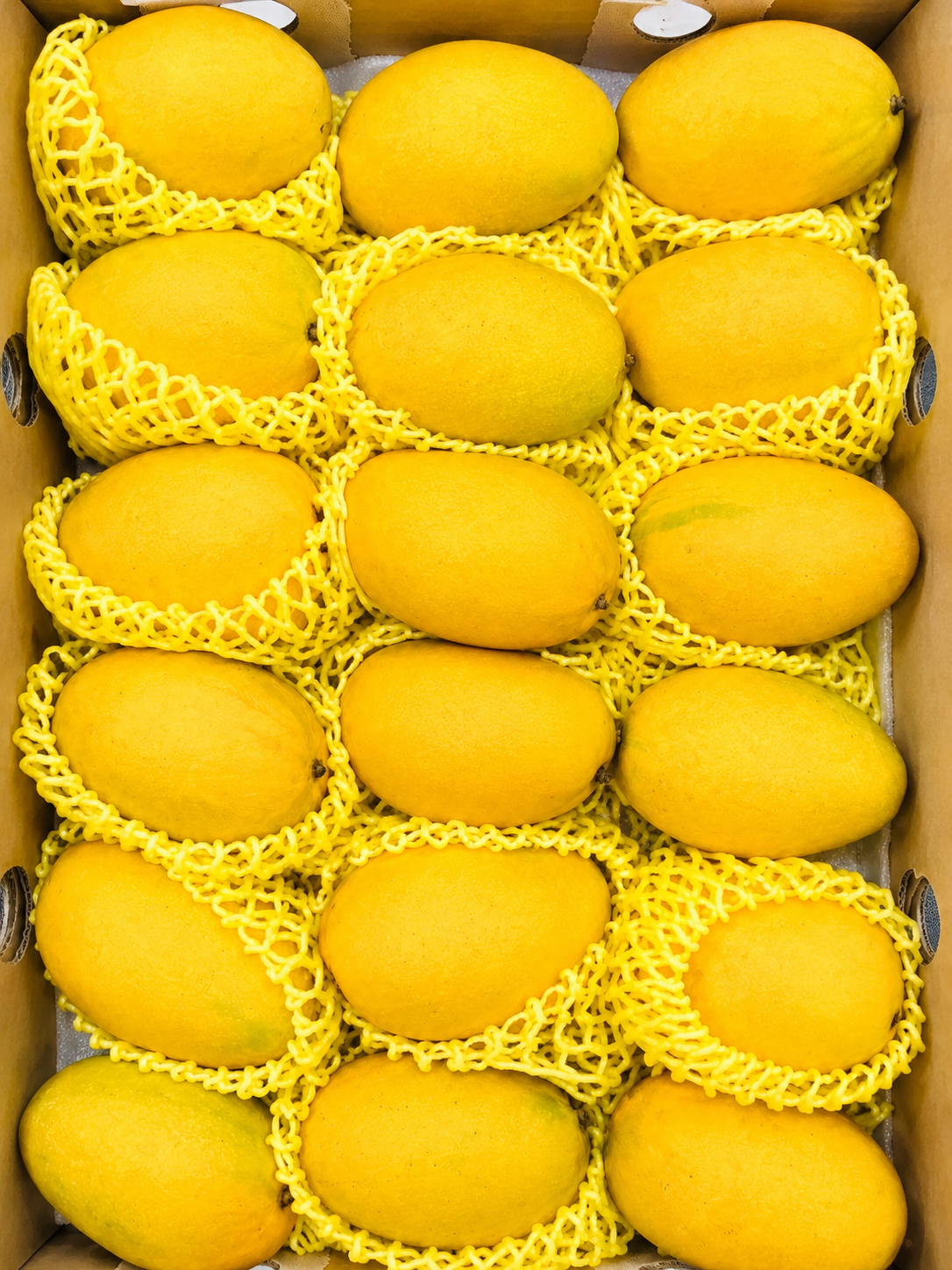 Chaunsa Mango